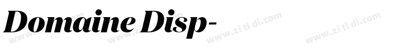 Domaine Disp字体转换